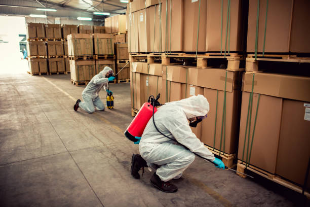 Best Local Pest Control Services  in Earlvle, IL