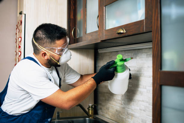 Best Wildlife Control Services  in Earlvle, IL
