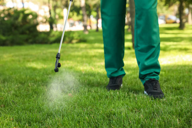 Pest Control for Restaurants in Earlville, IL
