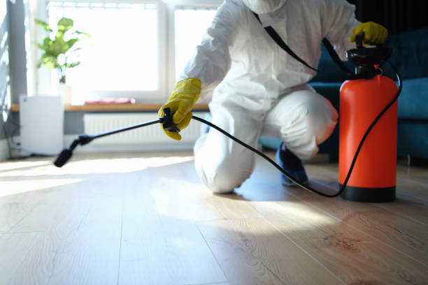 Best Insect Control  in Earlvle, IL