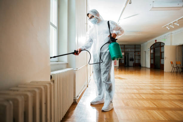 Best Affordable Pest Control Services  in Earlvle, IL