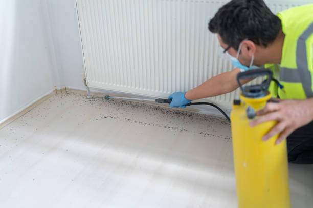 Trusted Earlville, IL Pest Control Experts