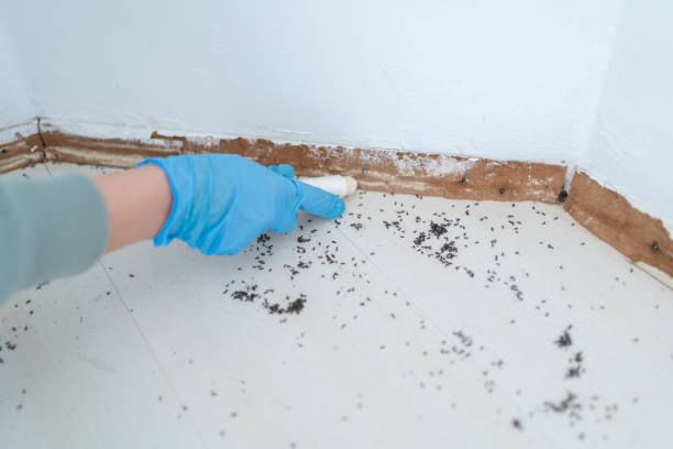 Best Best Pest Control Companies  in Earlvle, IL